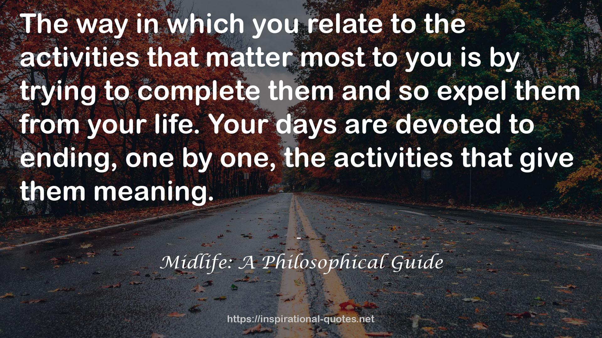 Midlife: A Philosophical Guide QUOTES