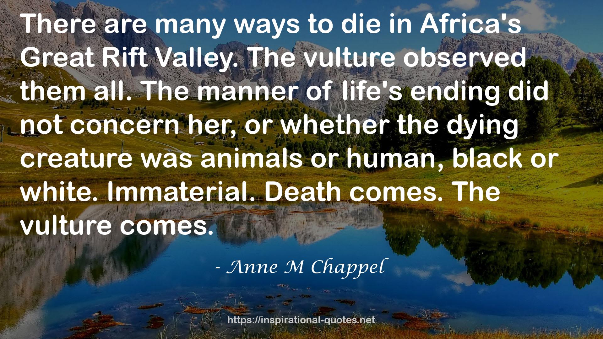 Anne M Chappel QUOTES