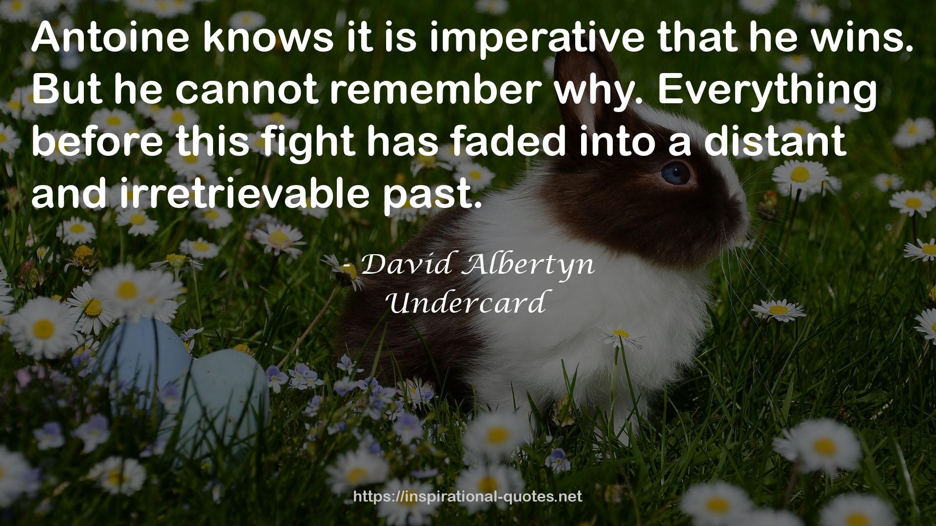 David Albertyn QUOTES