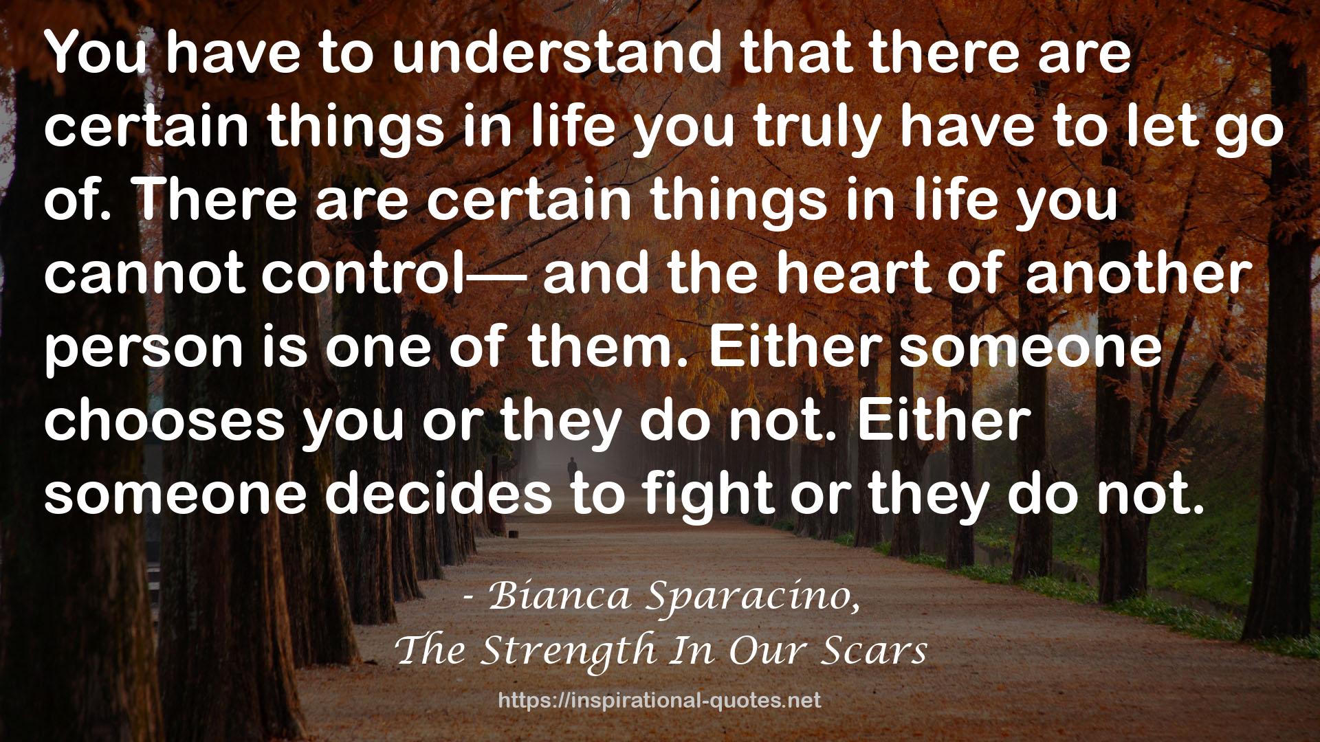The Strength In Our Scars QUOTES