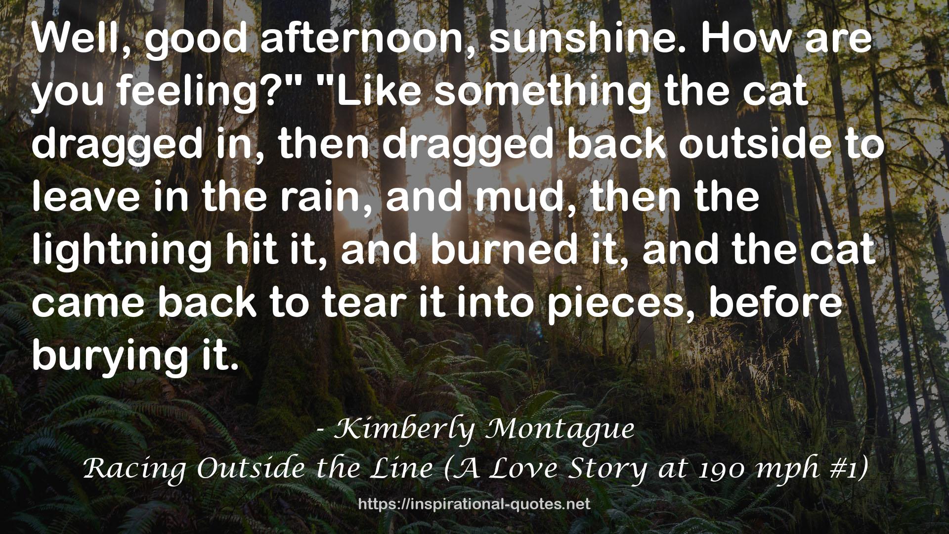 Racing Outside the Line (A Love Story at 190 mph #1) QUOTES