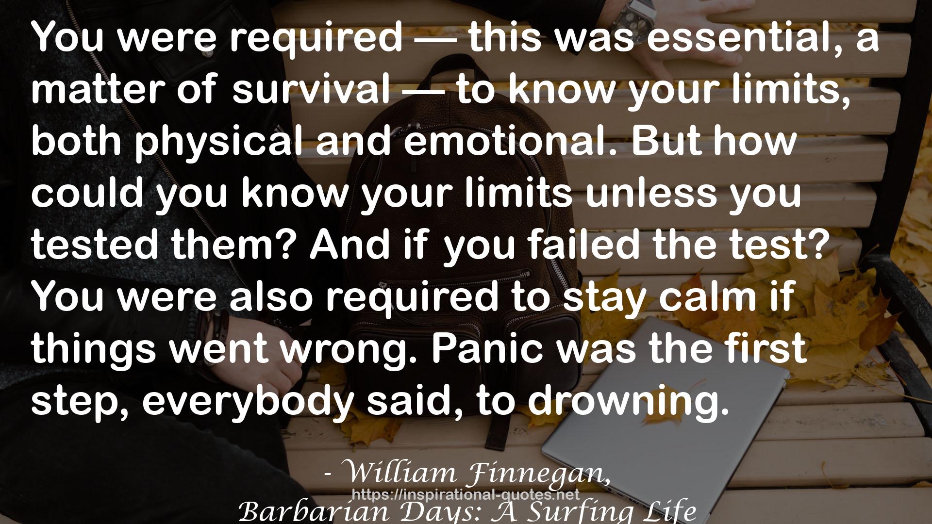 William Finnegan, QUOTES