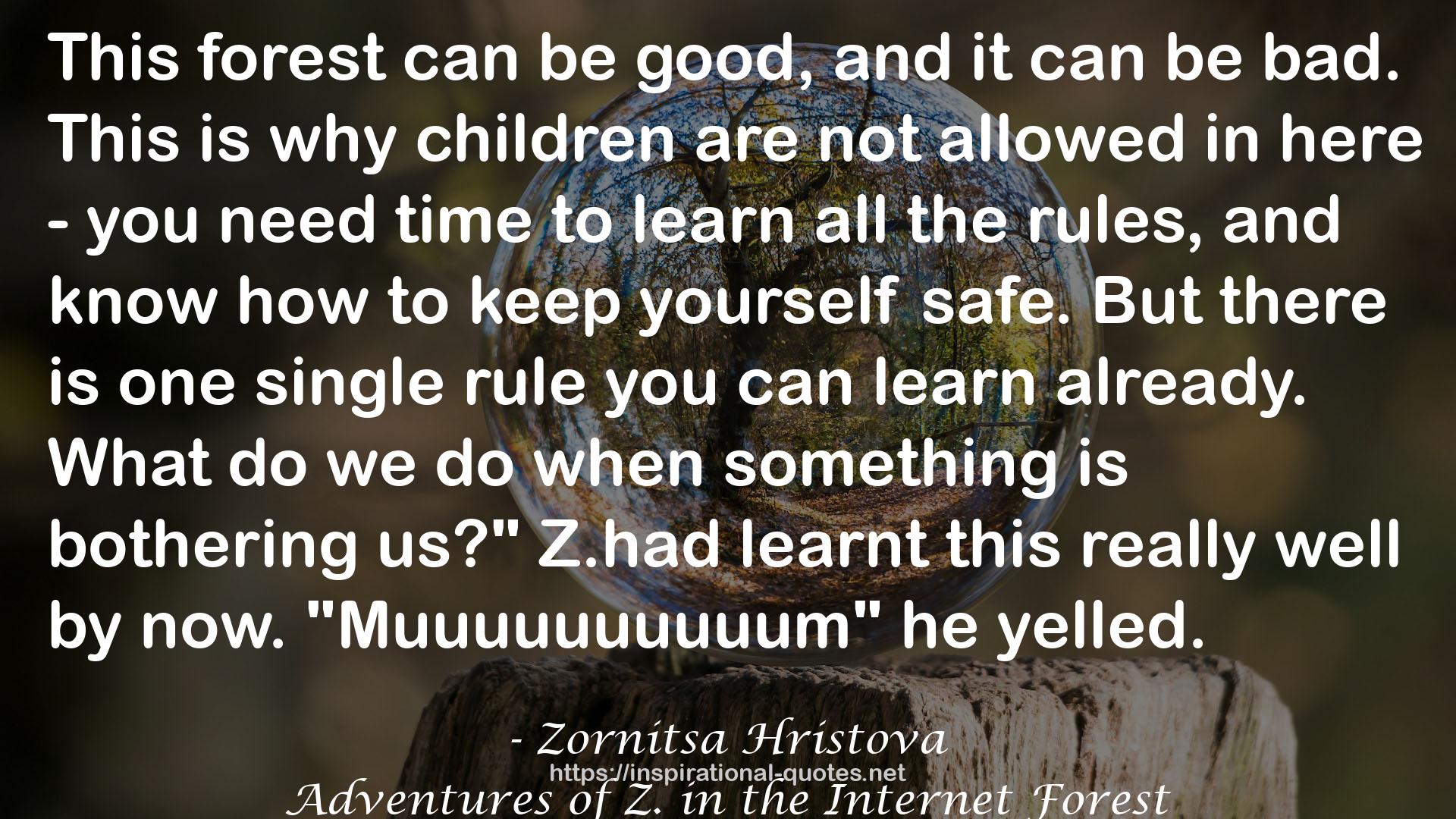 Adventures of Z. in the Internet Forest QUOTES