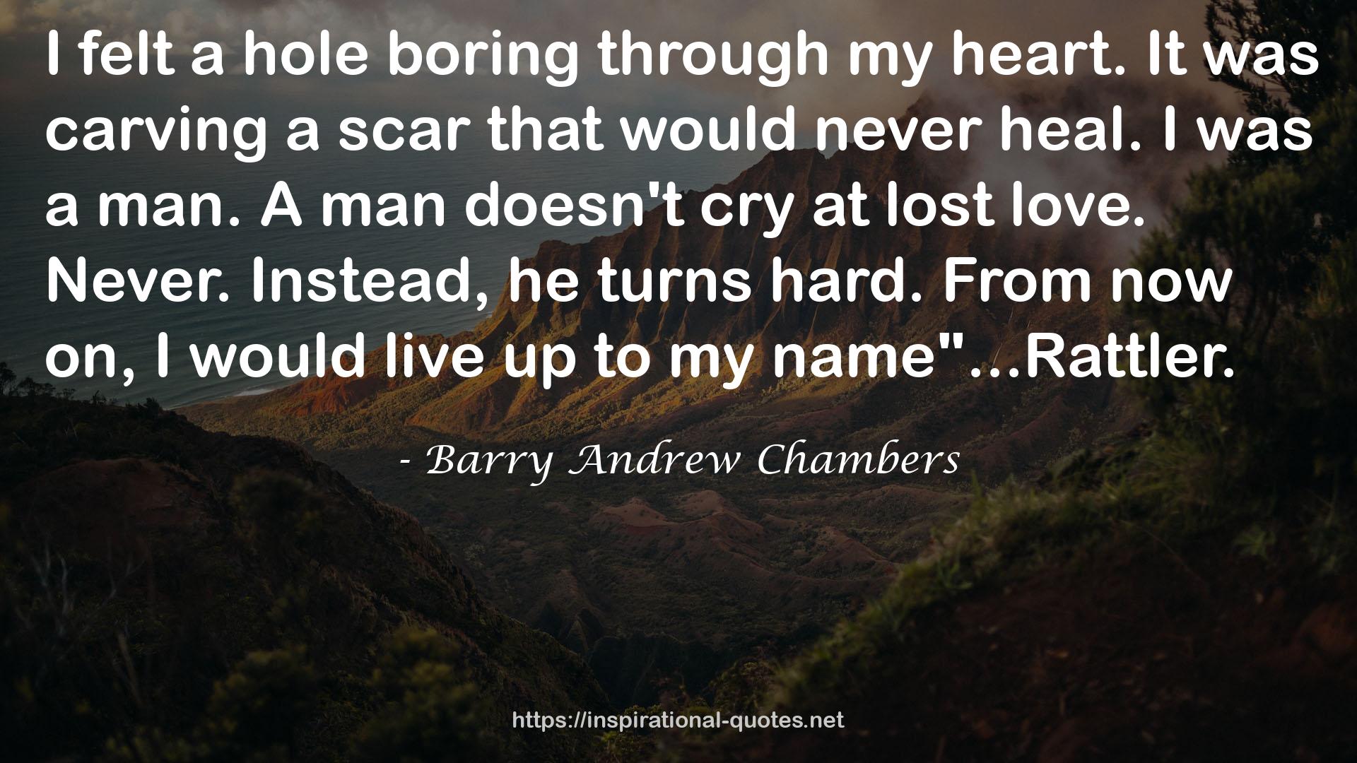 Barry Andrew Chambers QUOTES