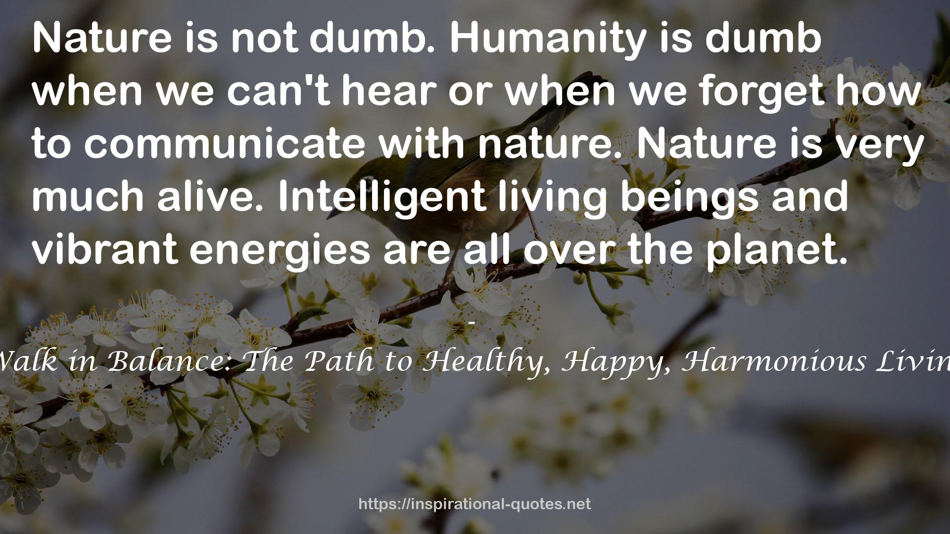 Walk in Balance: The Path to Healthy, Happy, Harmonious Living QUOTES