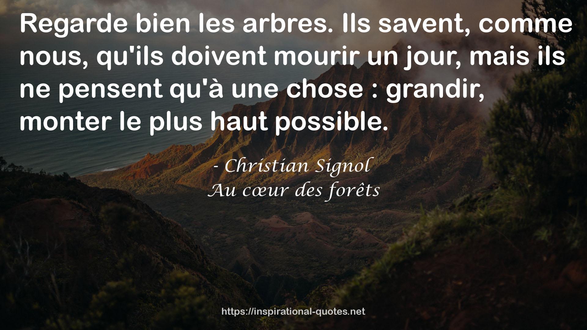 Christian Signol QUOTES