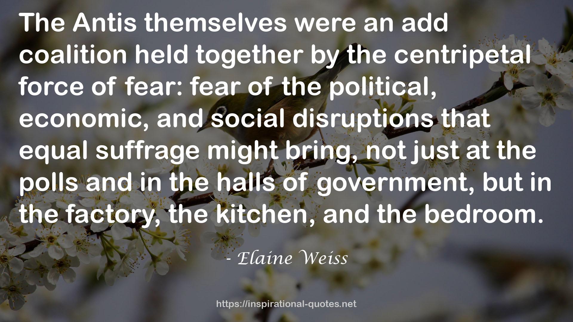 Elaine Weiss QUOTES