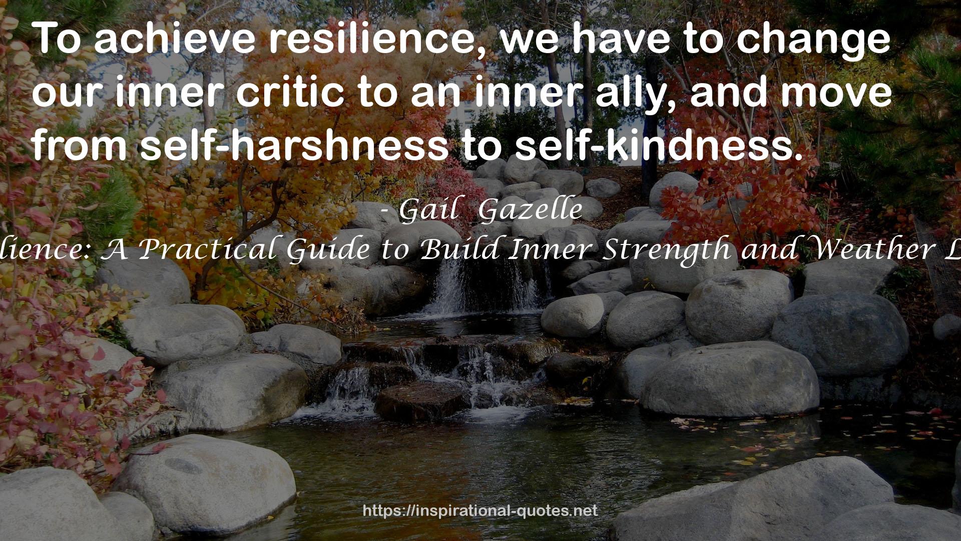 Everyday Resilience: A Practical Guide to Build Inner Strength and Weather Life's Challenges QUOTES