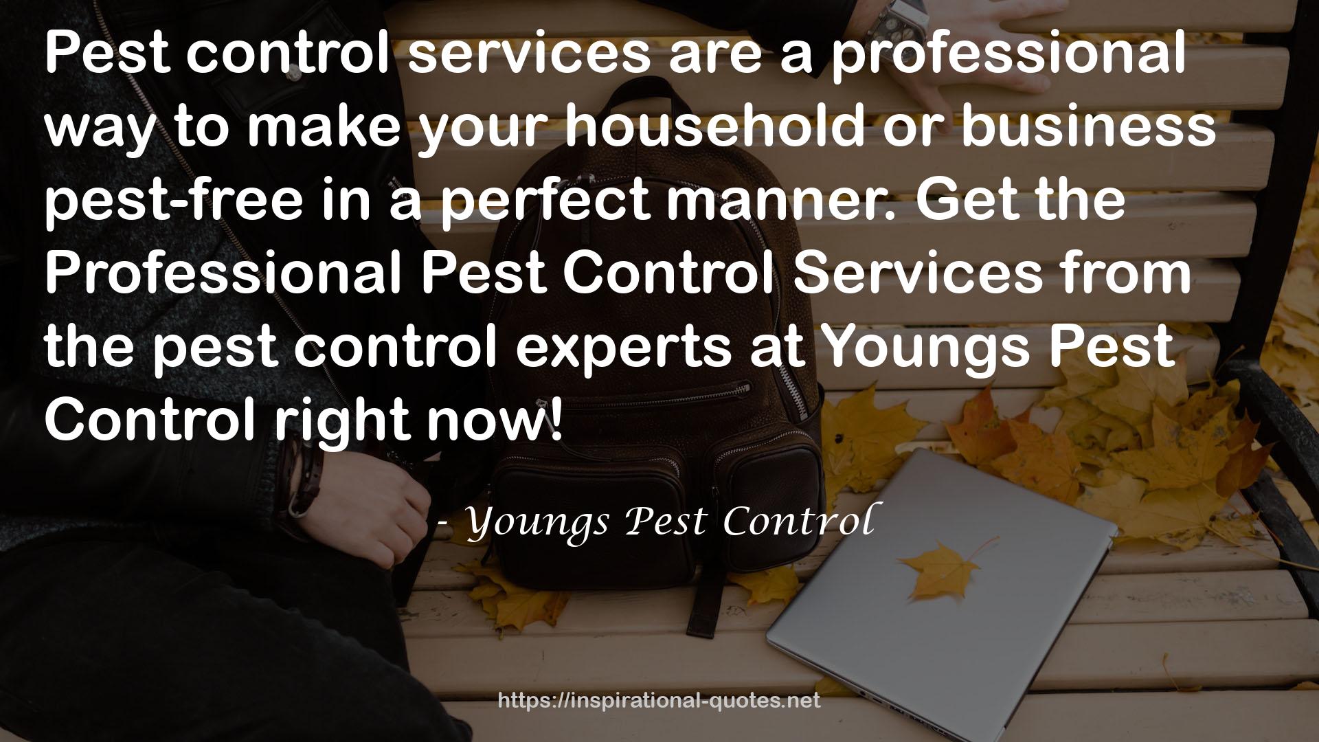 Youngs Pest Control QUOTES
