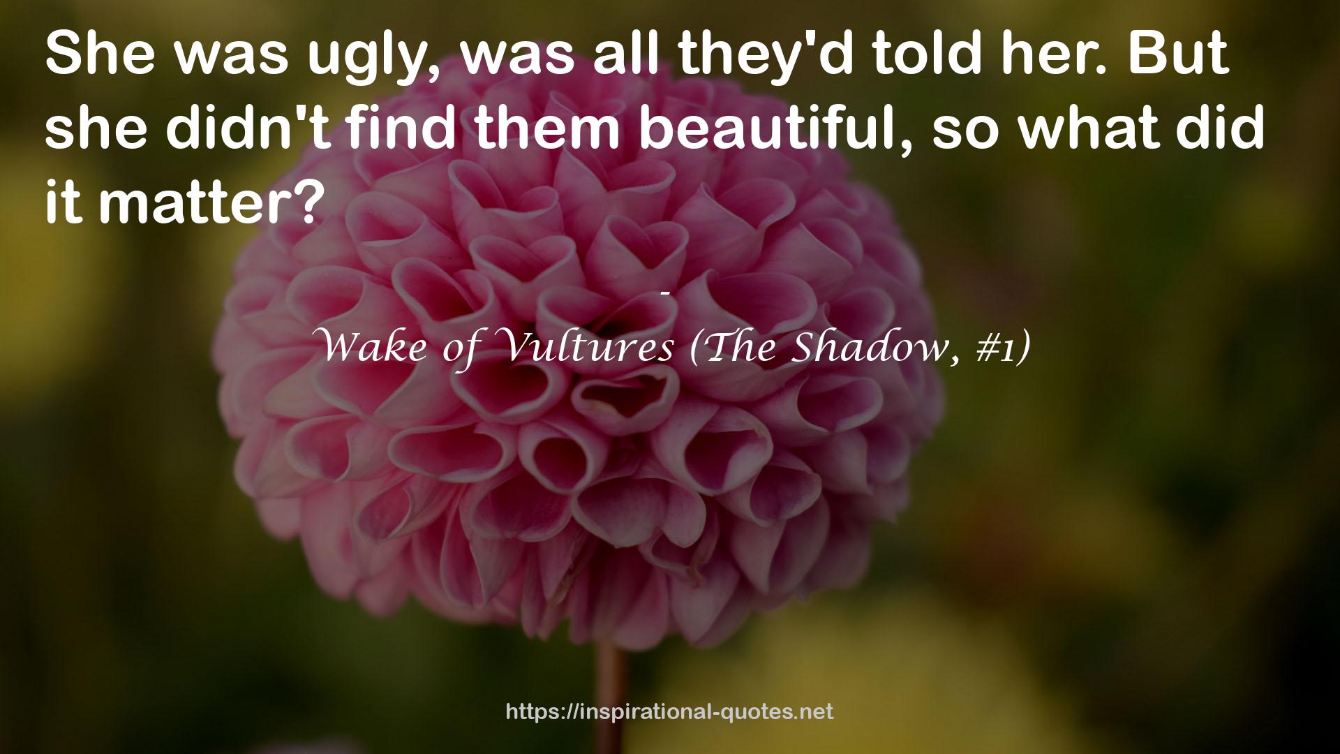 Wake of Vultures (The Shadow, #1) QUOTES