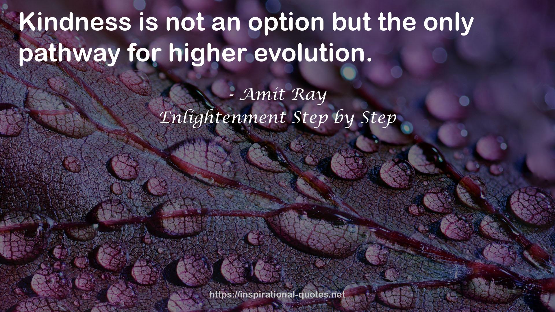 Enlightenment Step by Step QUOTES