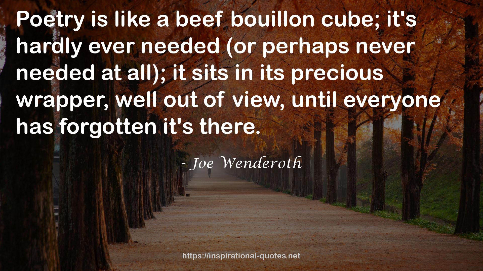 Joe Wenderoth QUOTES