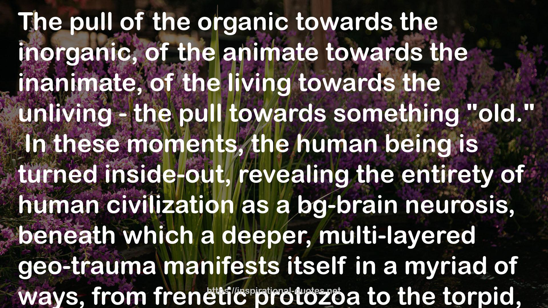 Infinite Resignation: On Pessimism QUOTES