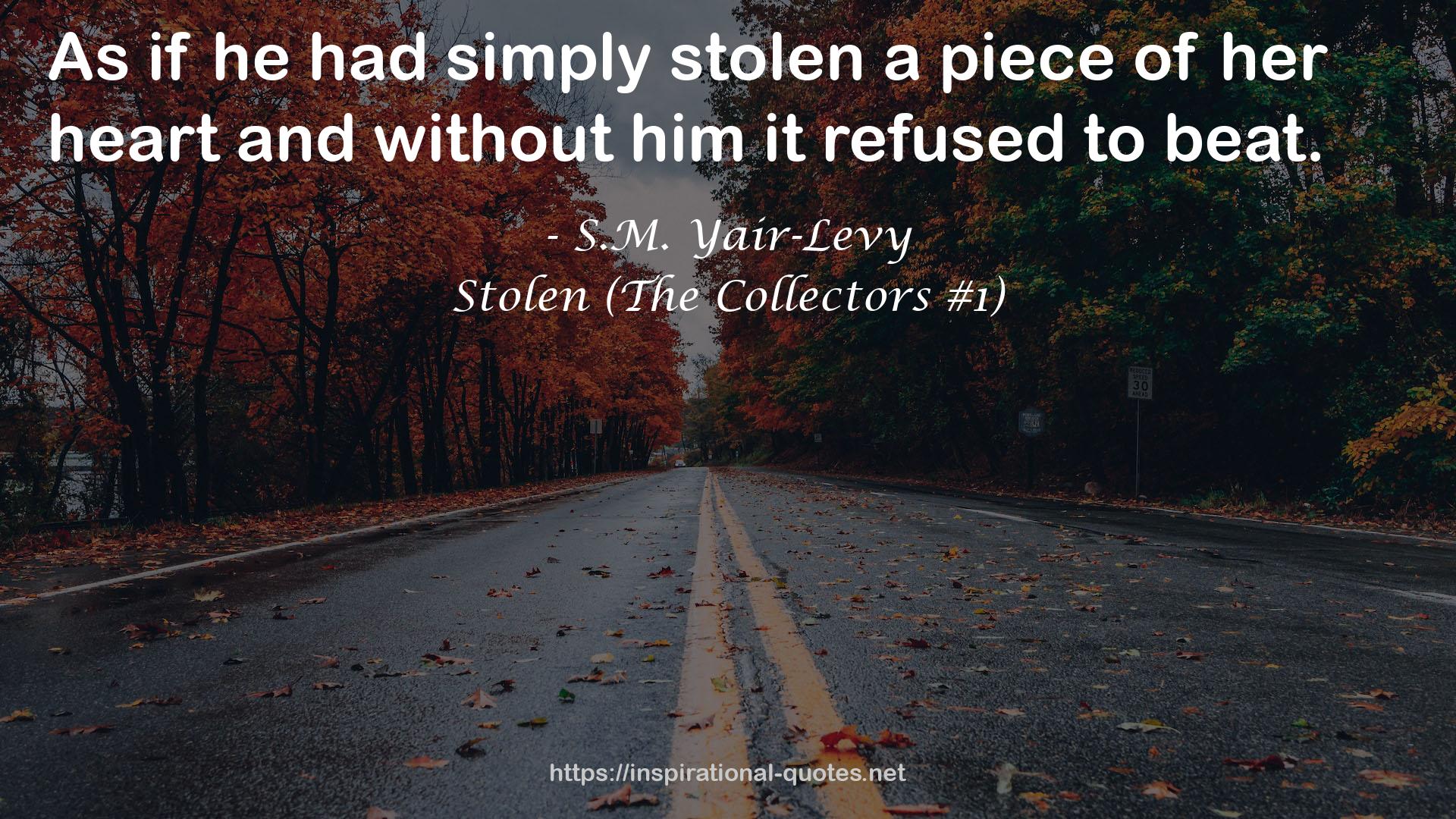 Stolen (The Collectors #1) QUOTES