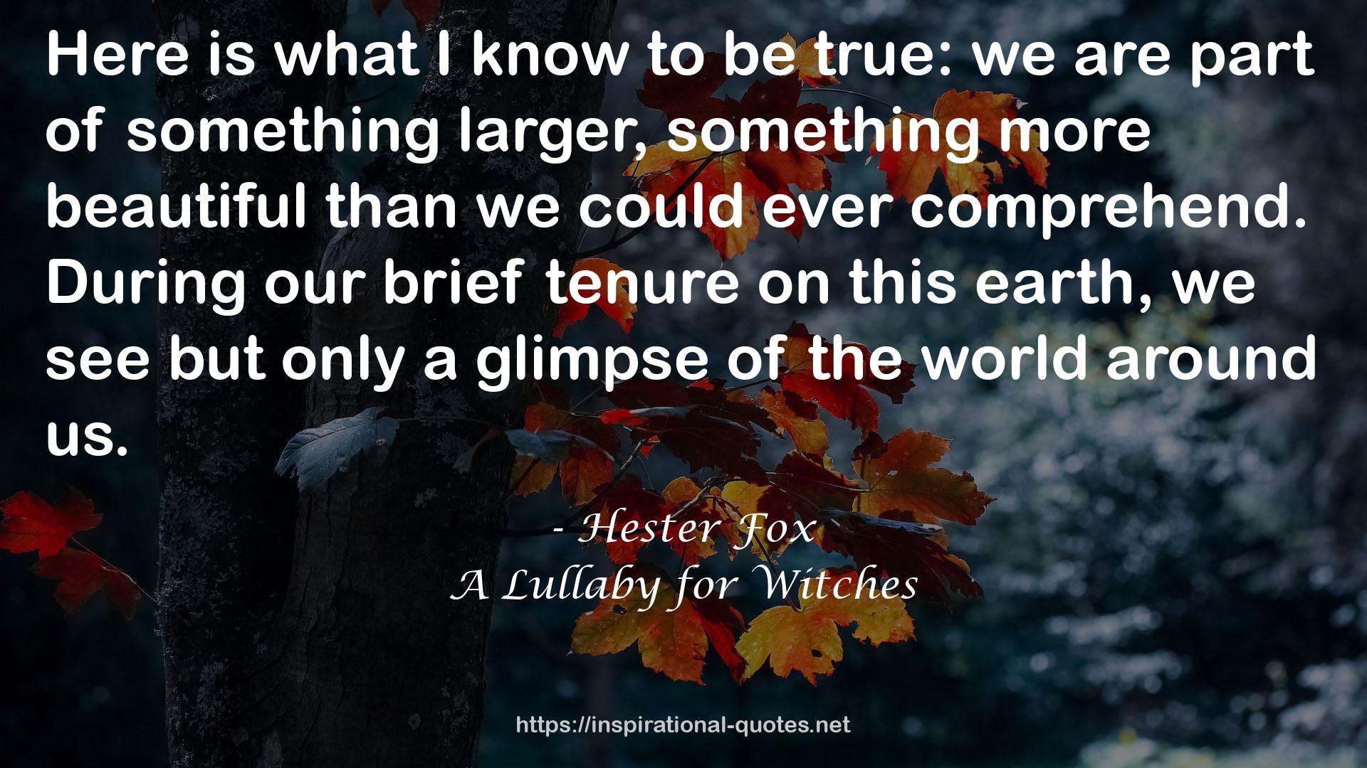 A Lullaby for Witches QUOTES