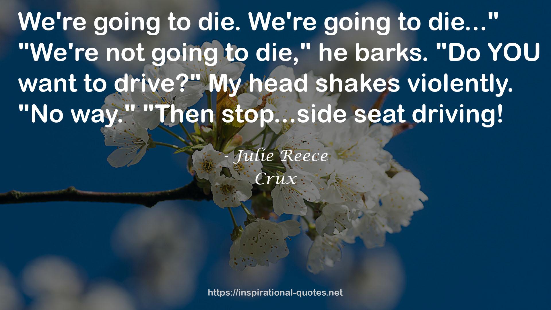 Julie Reece QUOTES