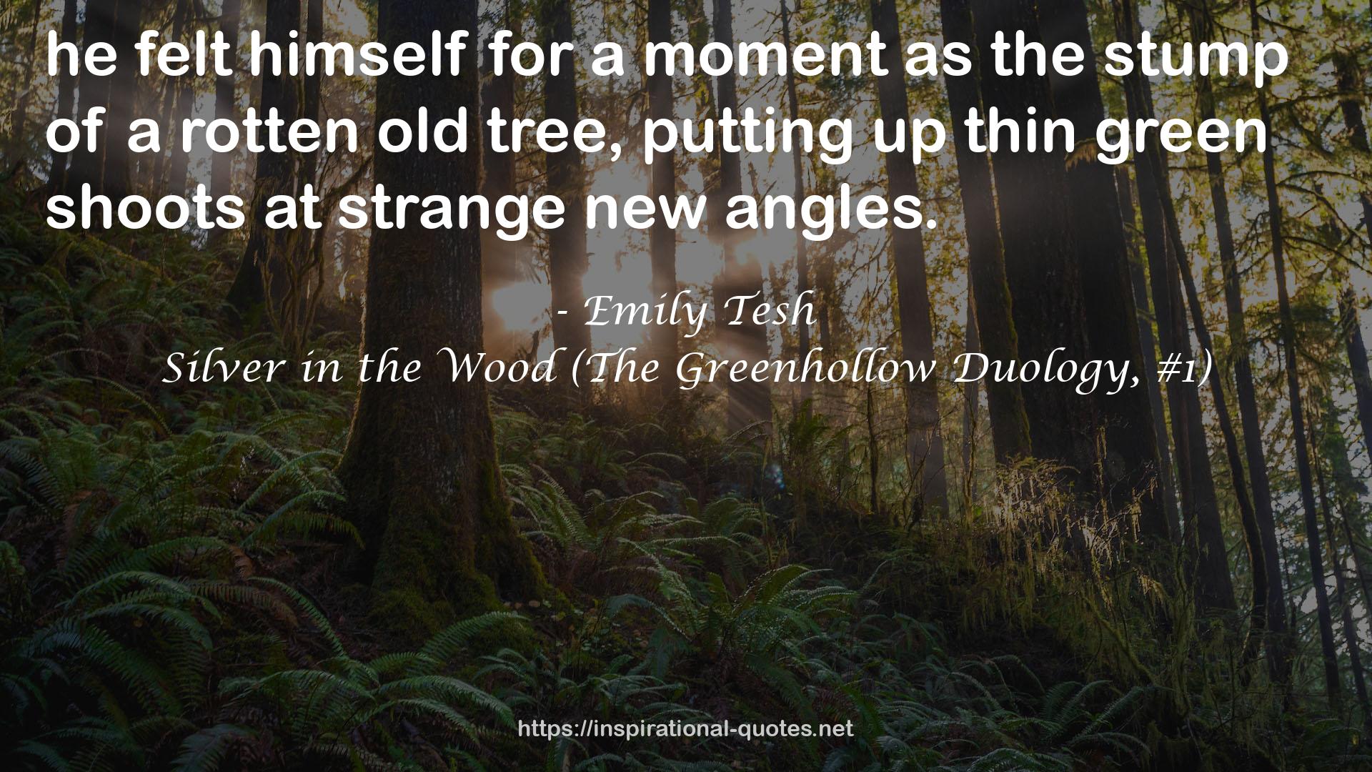 Silver in the Wood (The Greenhollow Duology, #1) QUOTES