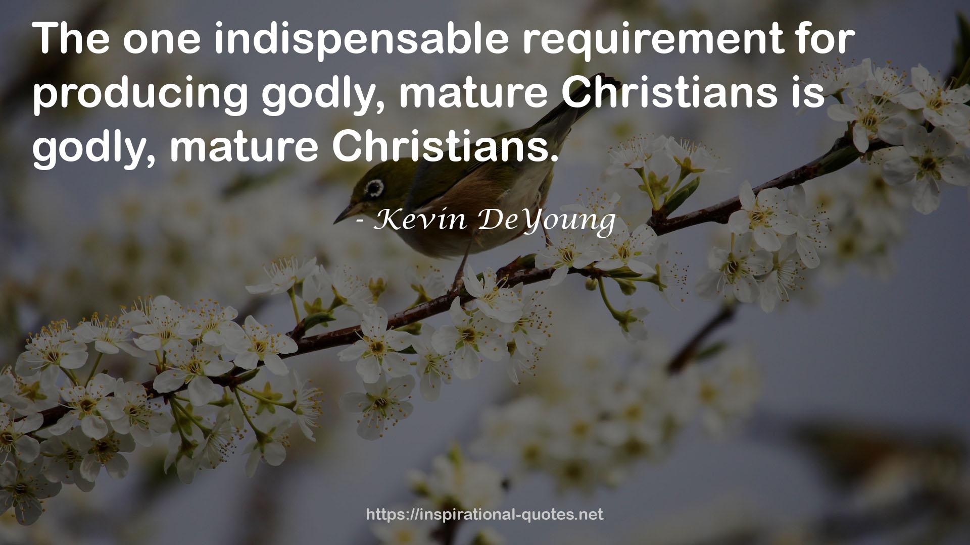 Kevin DeYoung QUOTES