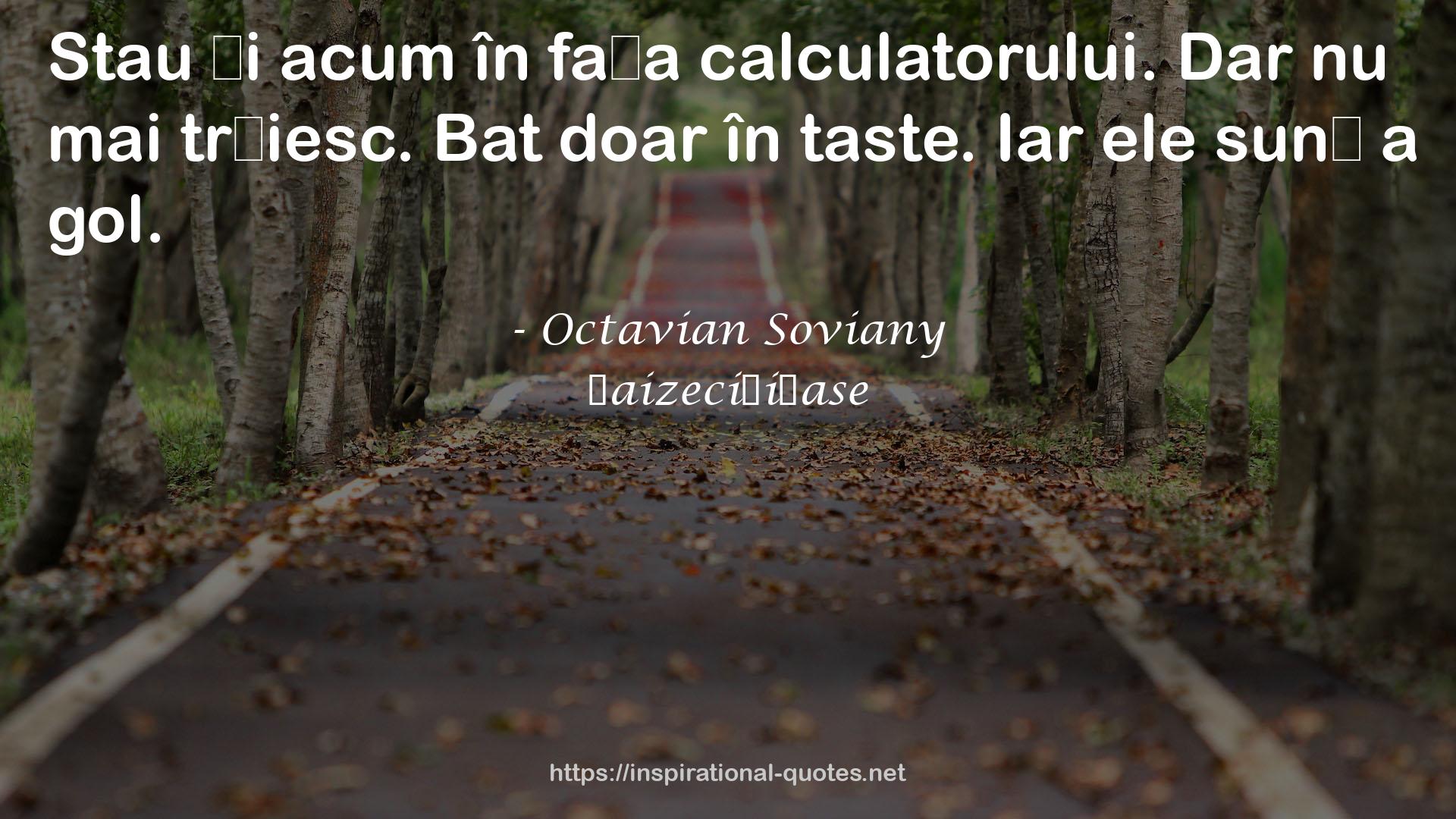 Octavian Soviany QUOTES