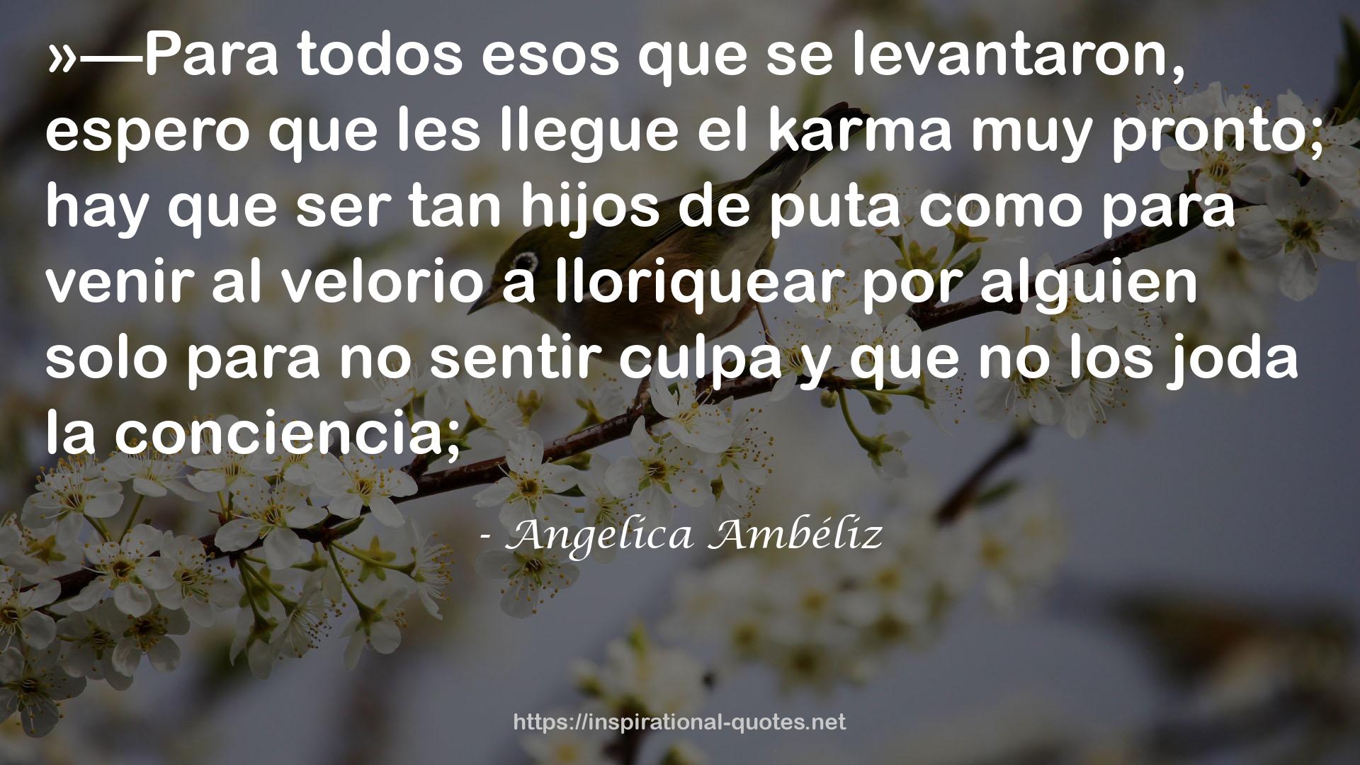 Angelica Ambéliz QUOTES