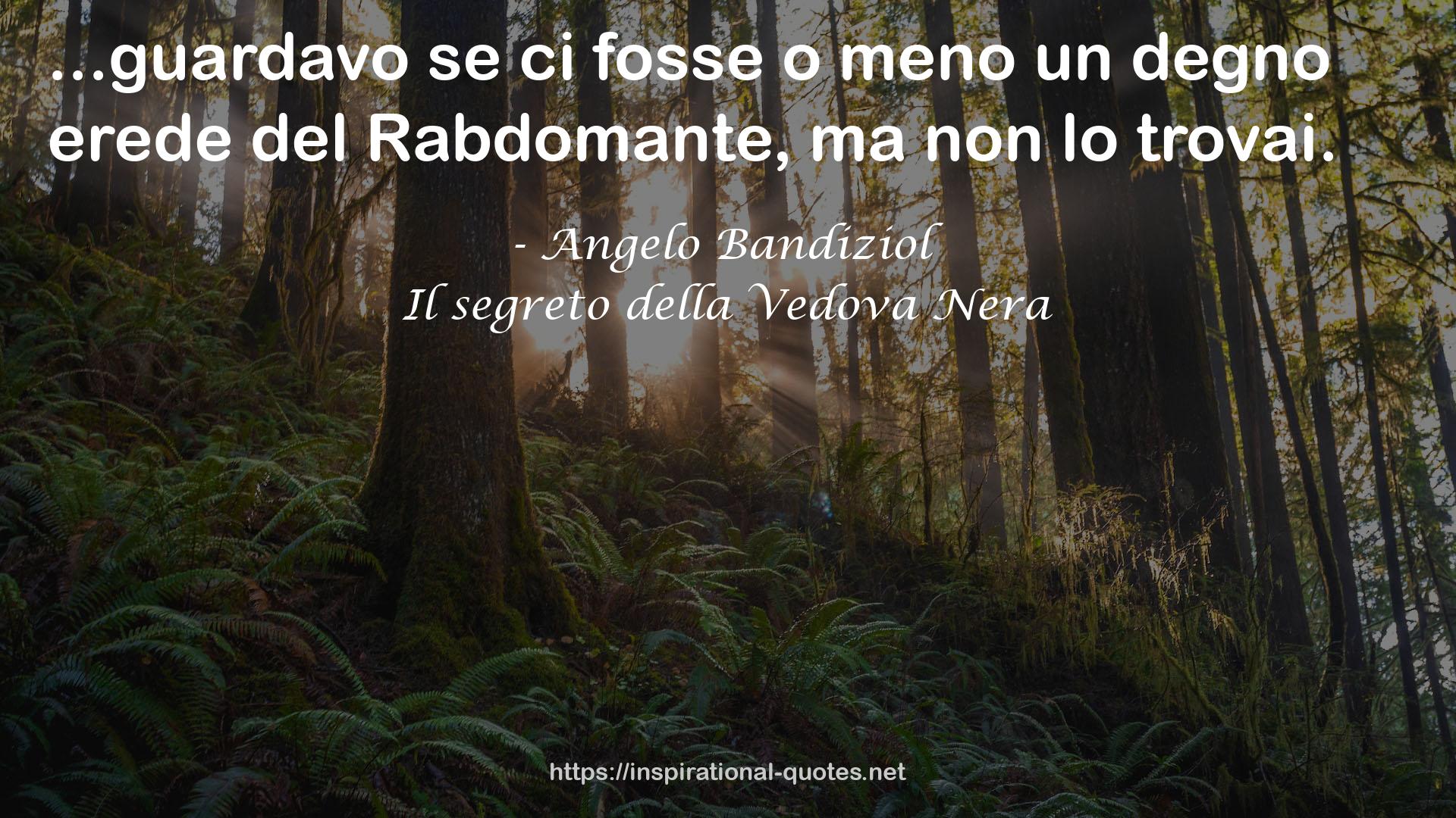 Il segreto della Vedova Nera QUOTES