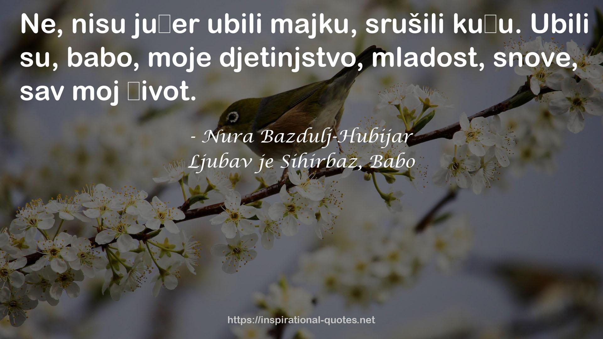 Nura Bazdulj-Hubijar QUOTES