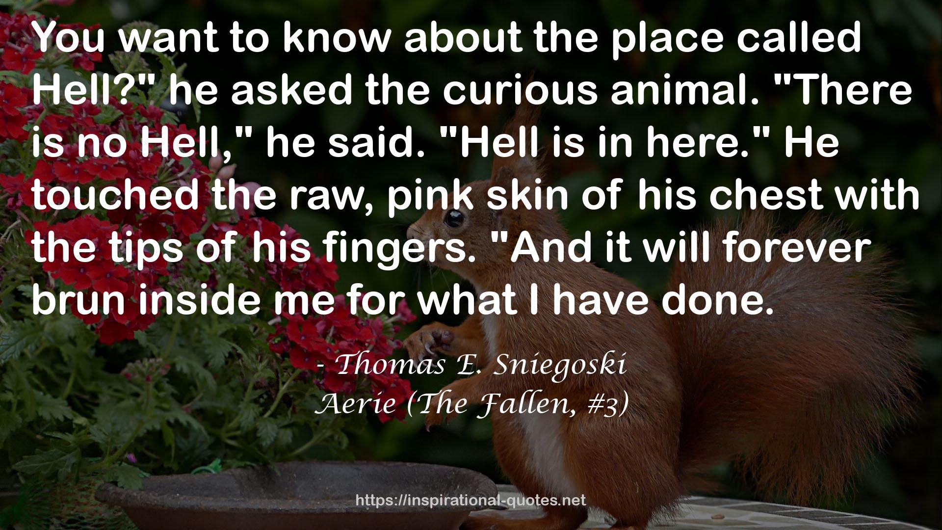 Aerie (The Fallen, #3) QUOTES