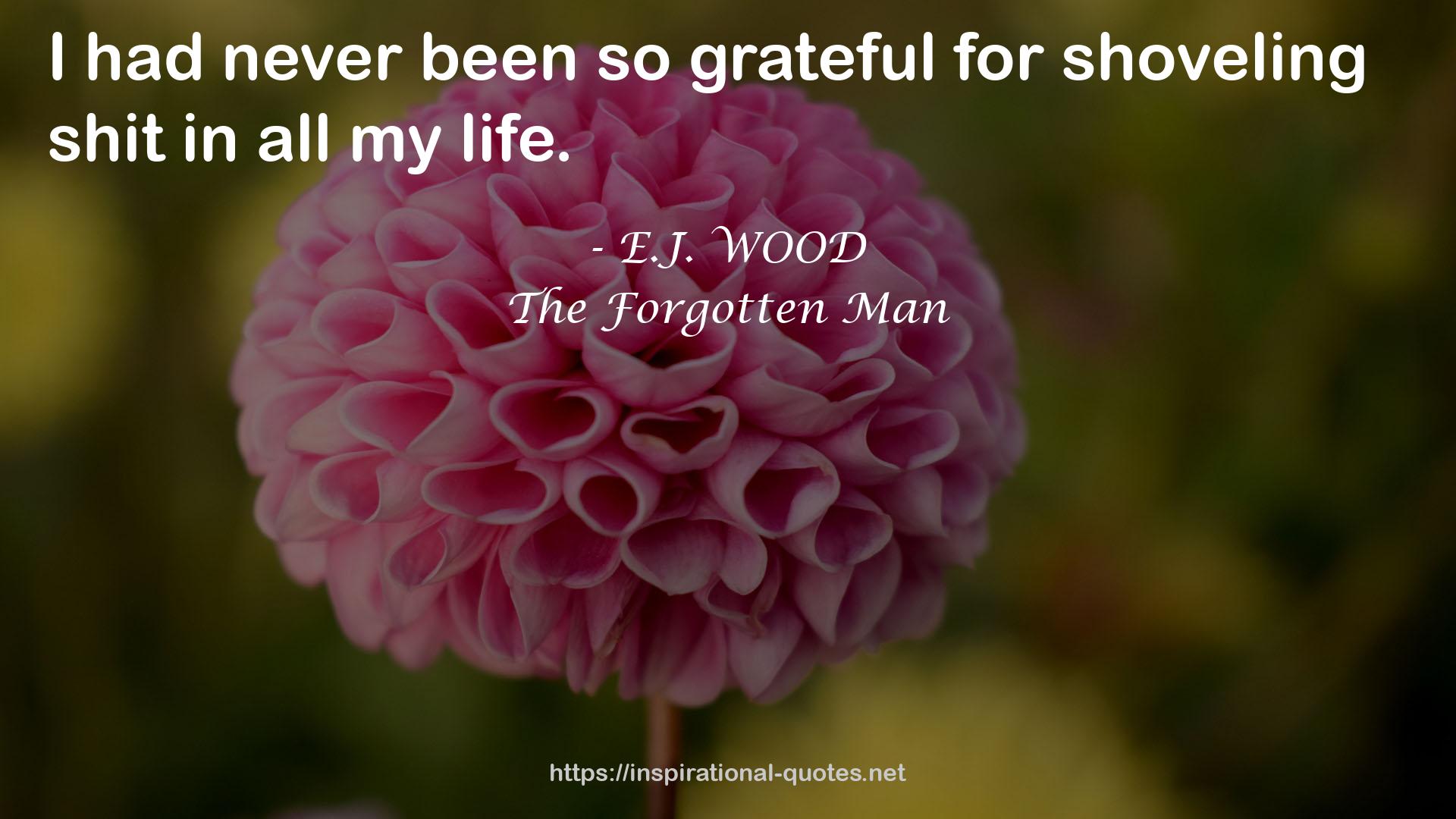 The Forgotten Man QUOTES