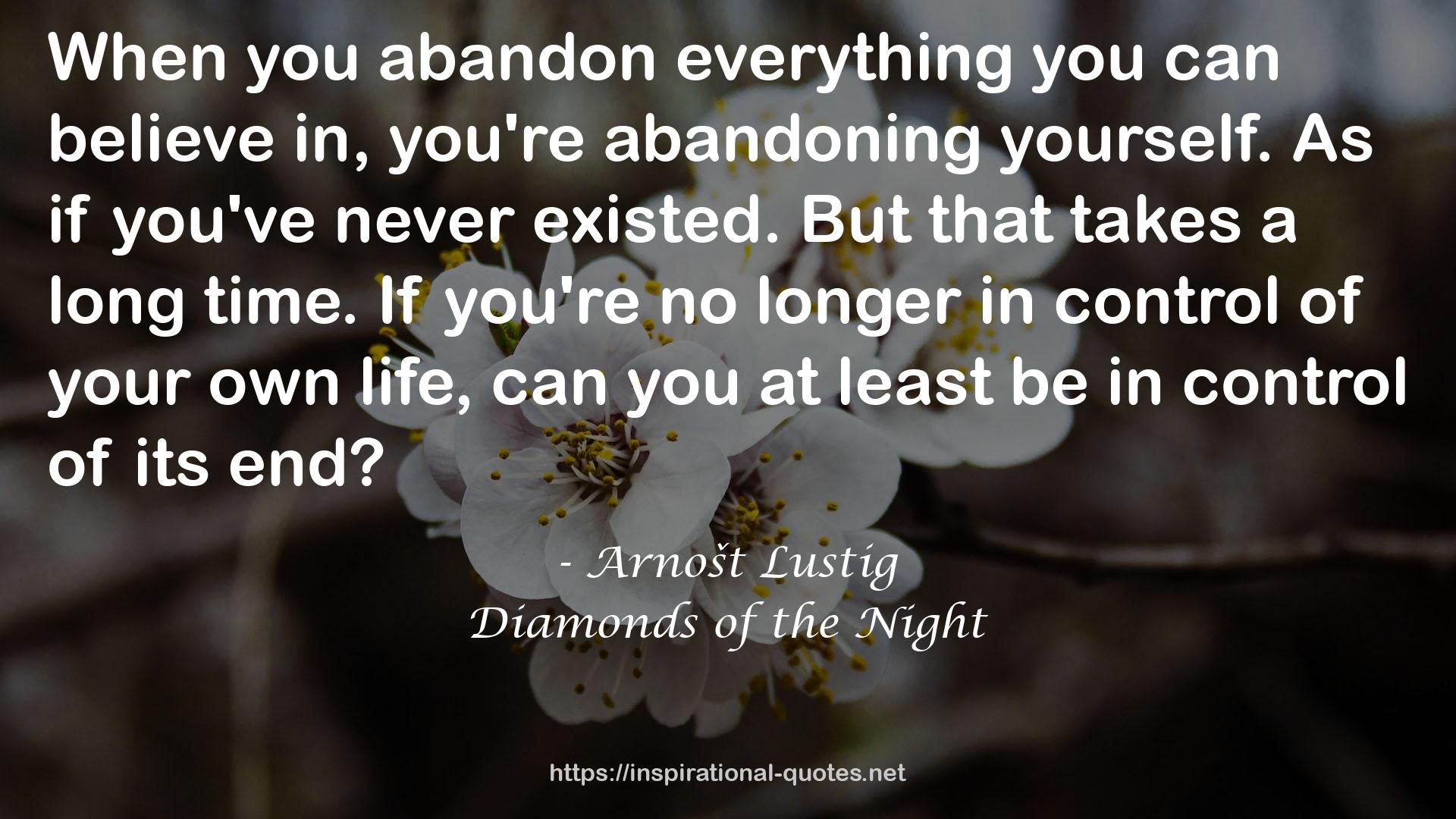 Diamonds of the Night QUOTES