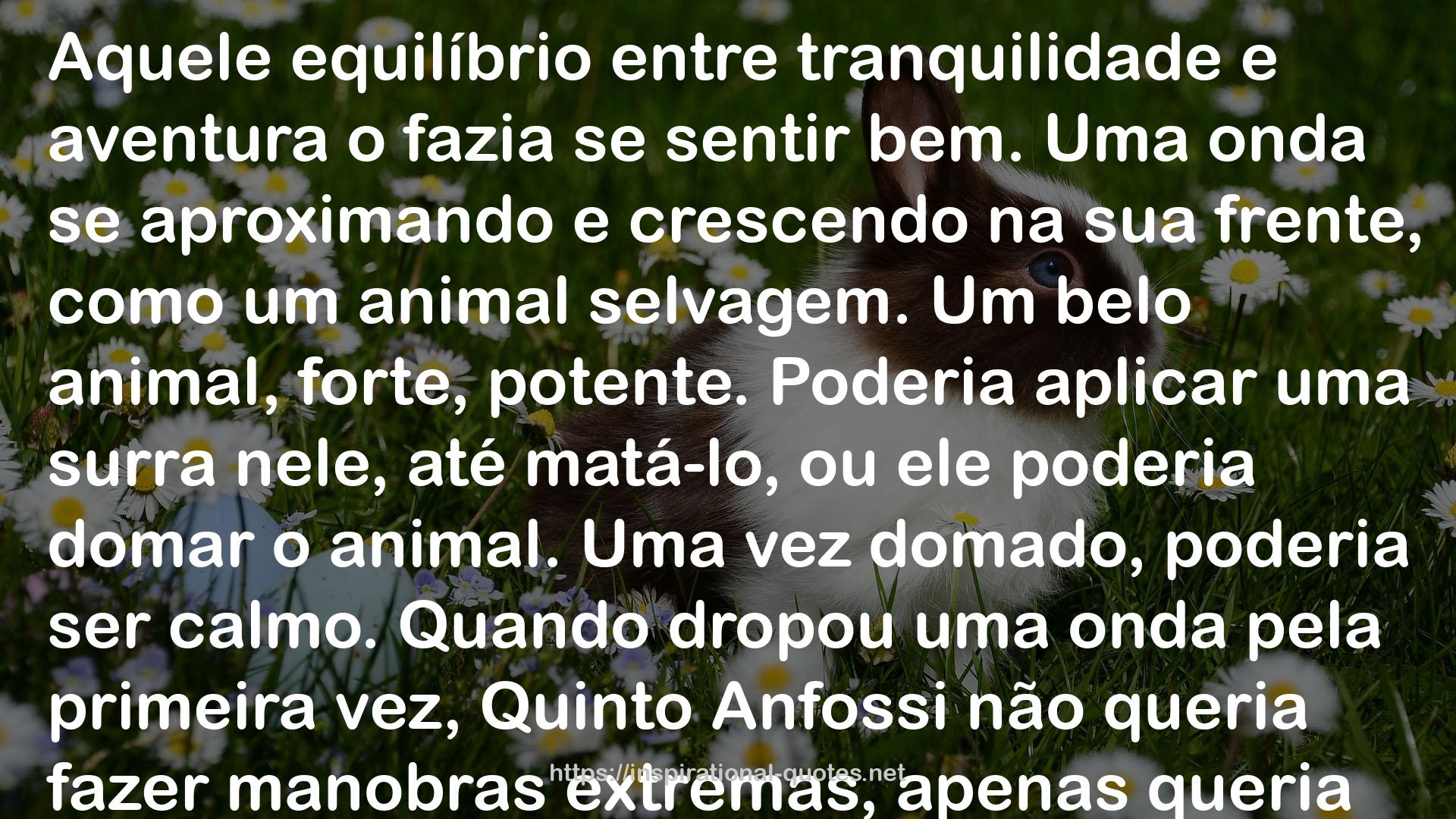 Cavalos selvagens nao existem mais QUOTES