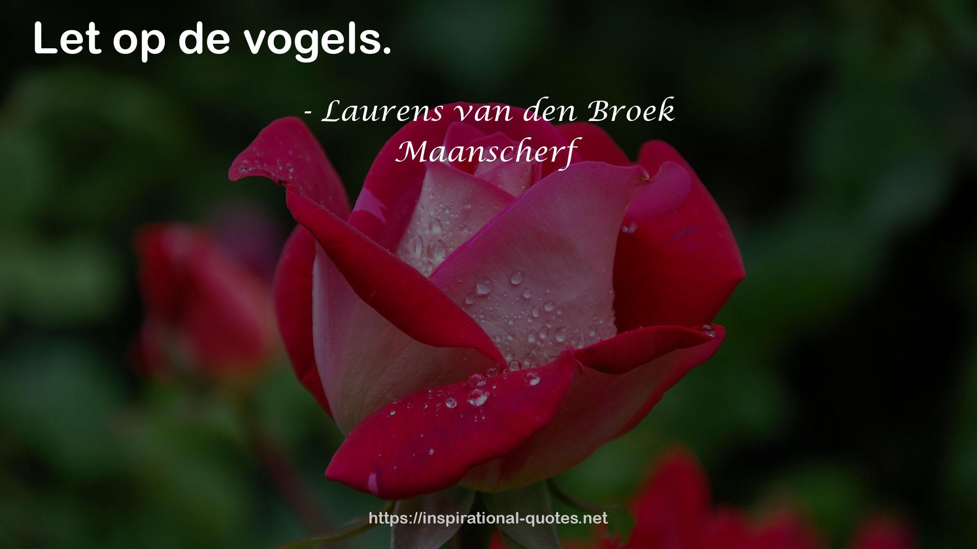 Laurens van den Broek QUOTES