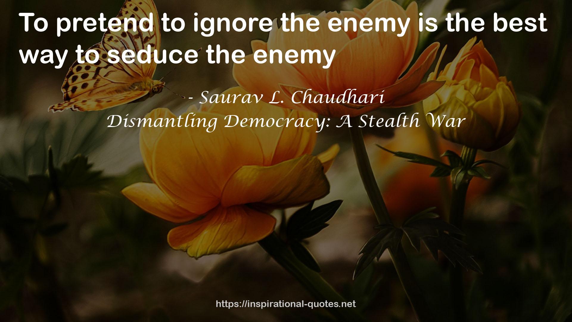 Dismantling Democracy: A Stealth War QUOTES