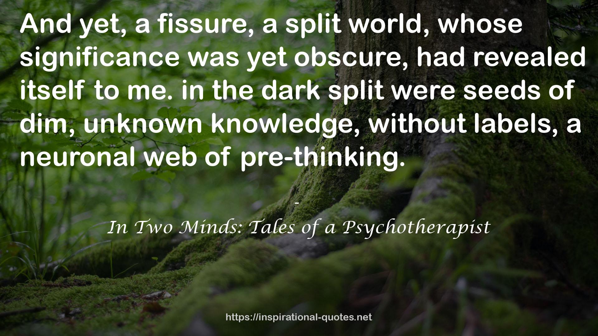 In Two Minds: Tales of a Psychotherapist QUOTES