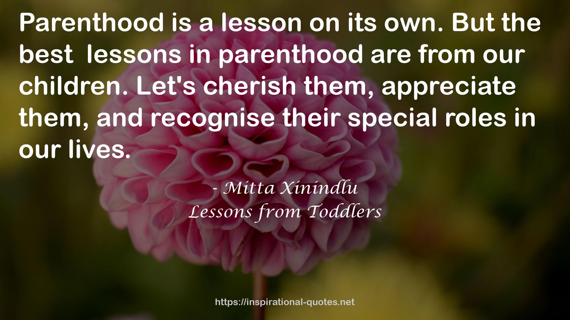 Lessons from Toddlers QUOTES