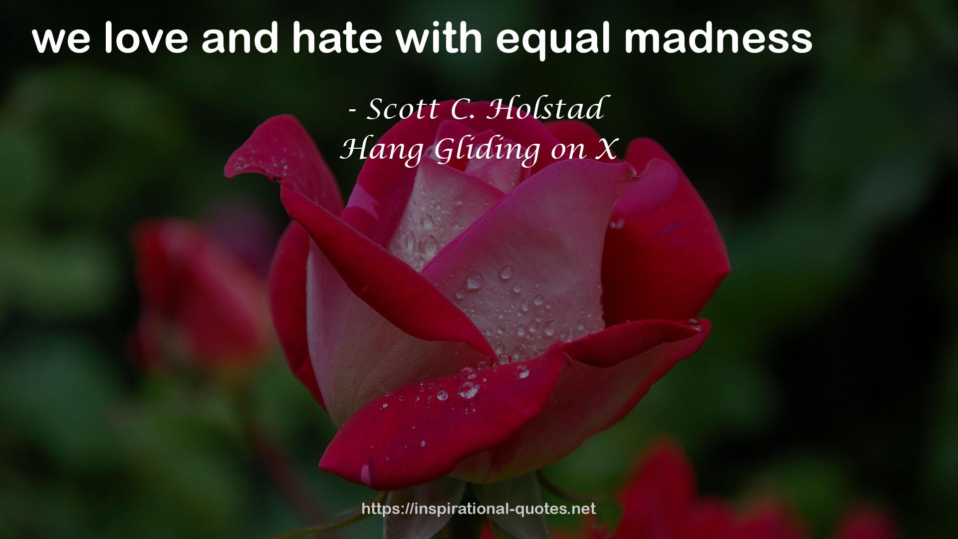 Scott C. Holstad quote : we love and hate with equal madness