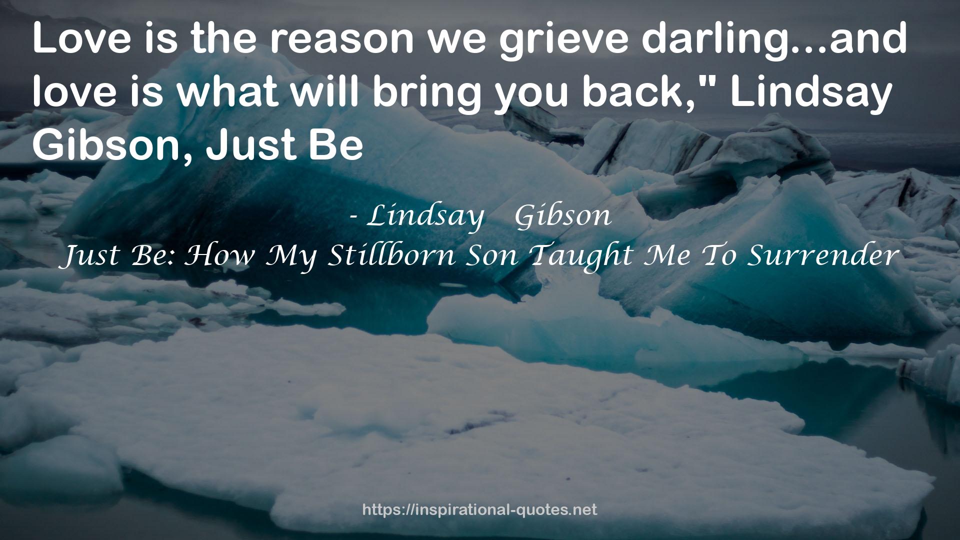 Lindsay   Gibson QUOTES