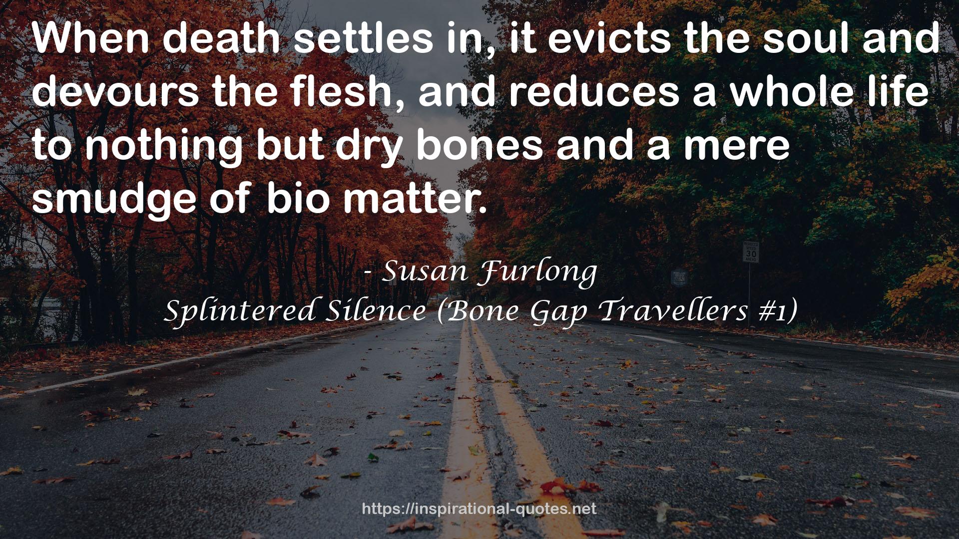 Splintered Silence (Bone Gap Travellers #1) QUOTES