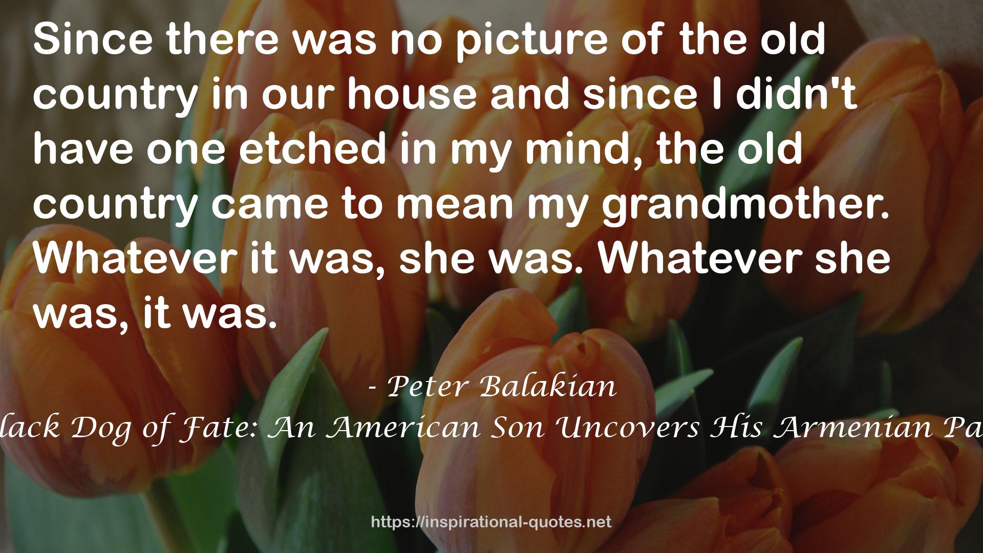Black Dog of Fate: An American Son Uncovers His Armenian Past QUOTES