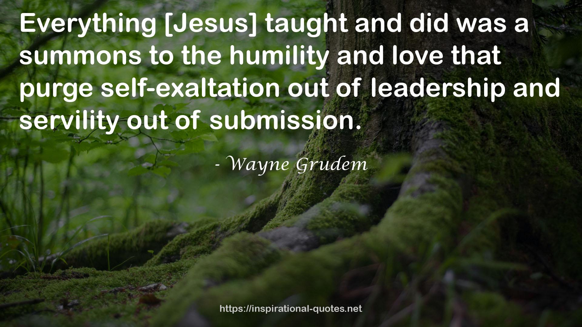 Wayne Grudem QUOTES