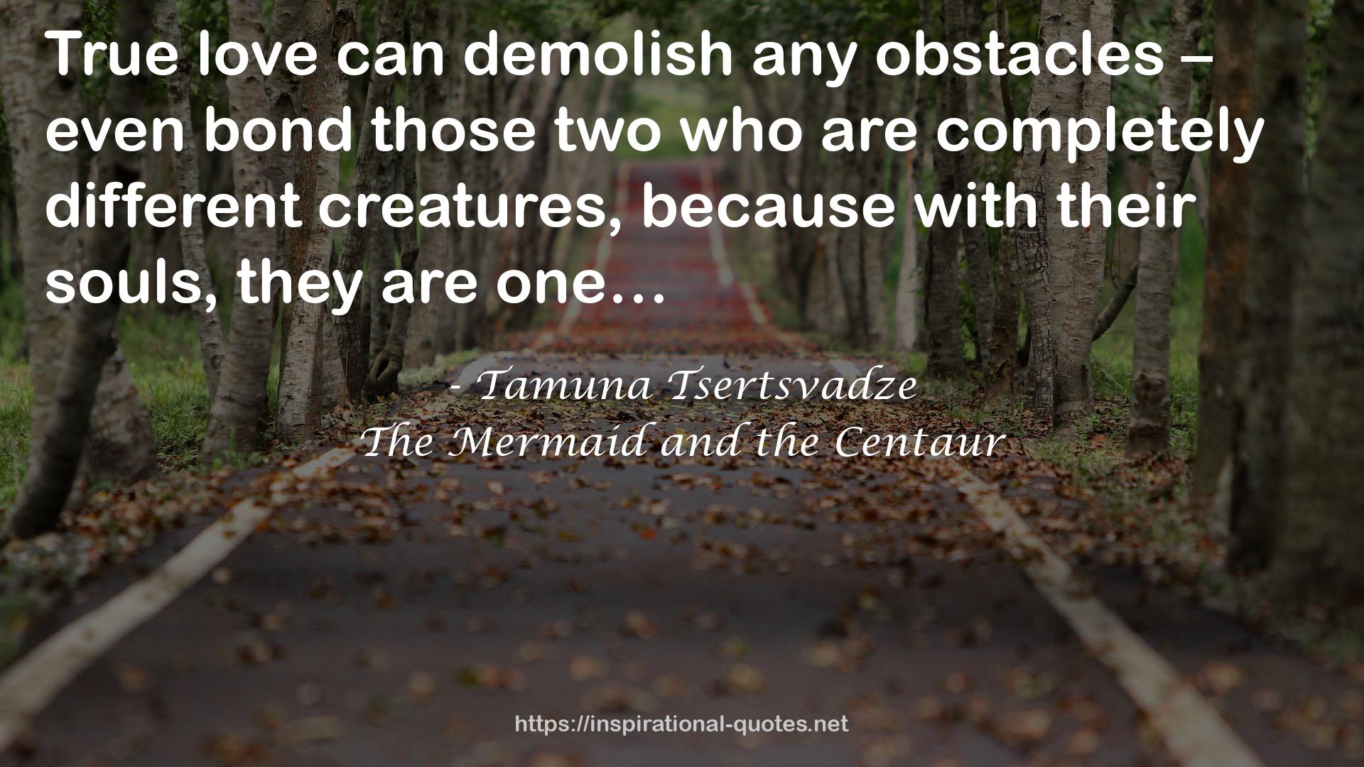 The Mermaid and the Centaur QUOTES