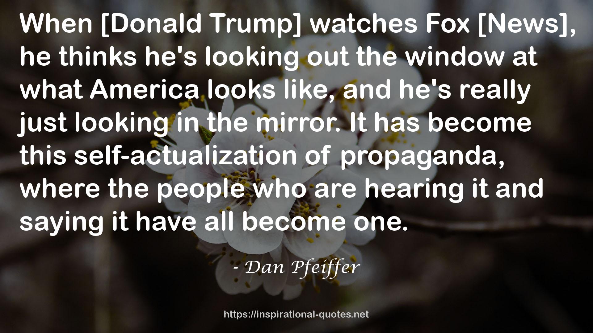 Dan Pfeiffer QUOTES