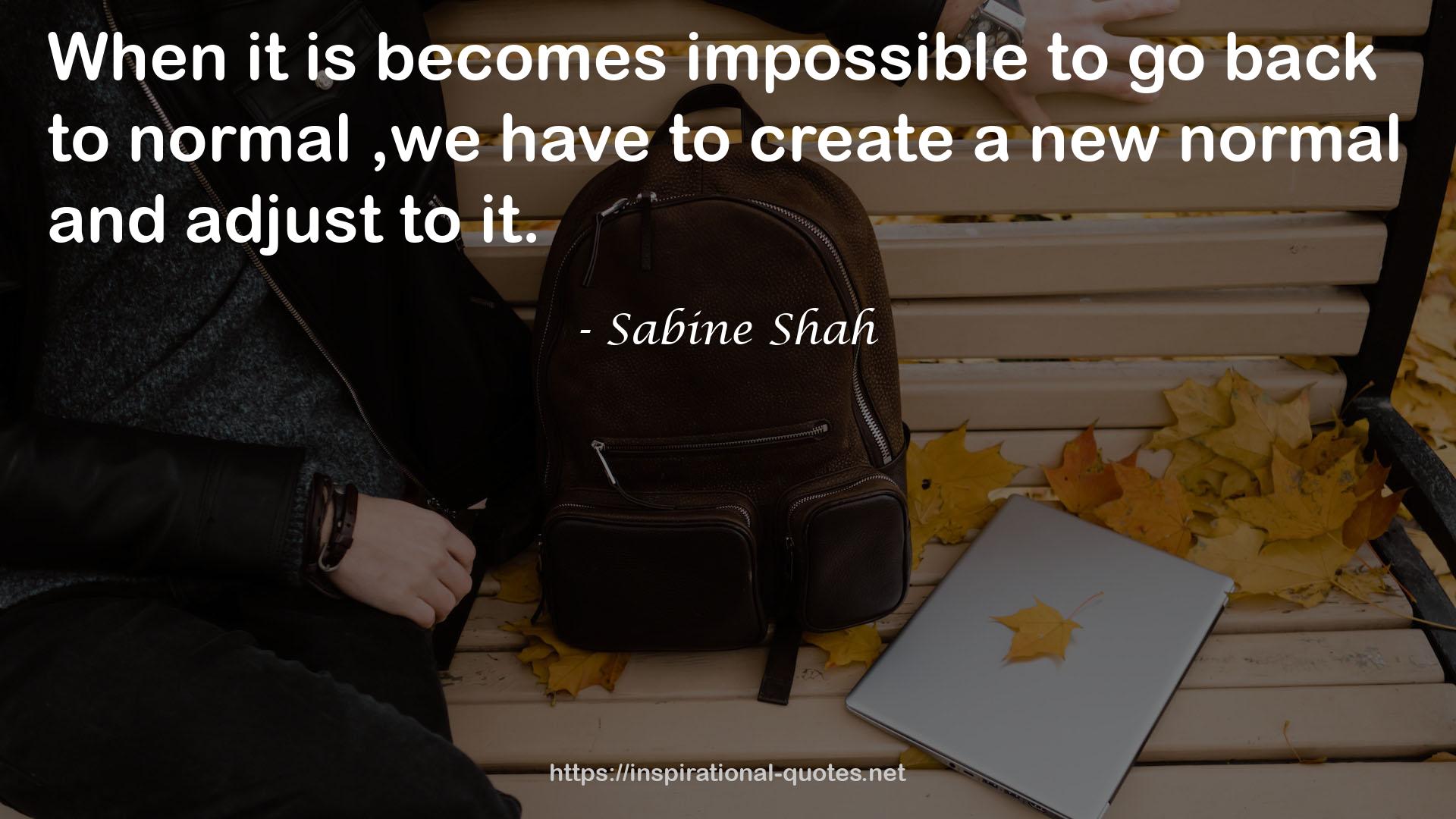 Sabine Shah QUOTES