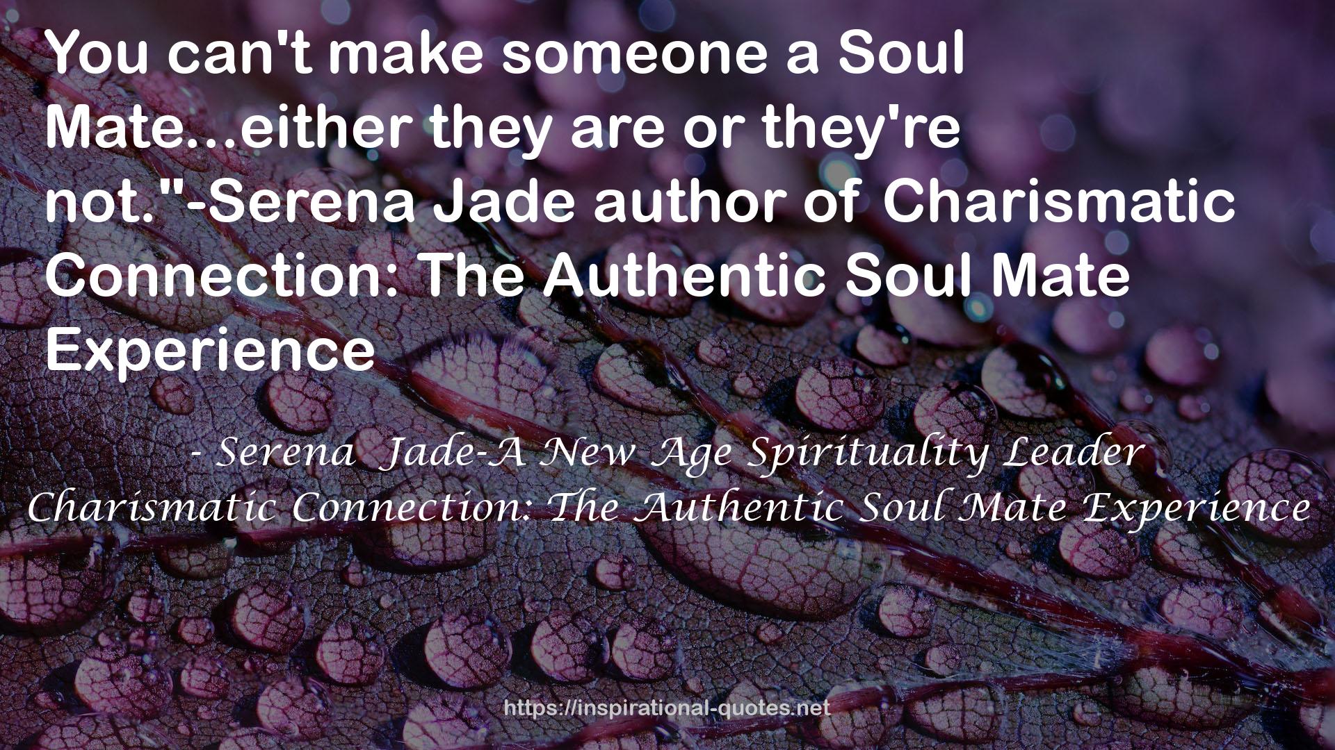 Charismatic Connection: The Authentic Soul Mate Experience QUOTES