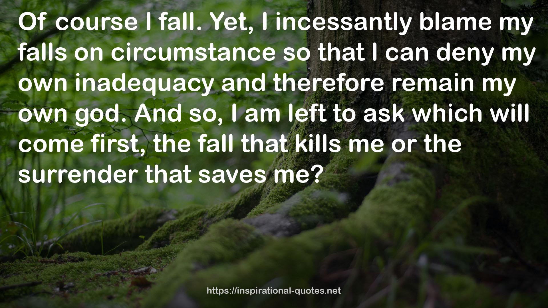 my falls  QUOTES