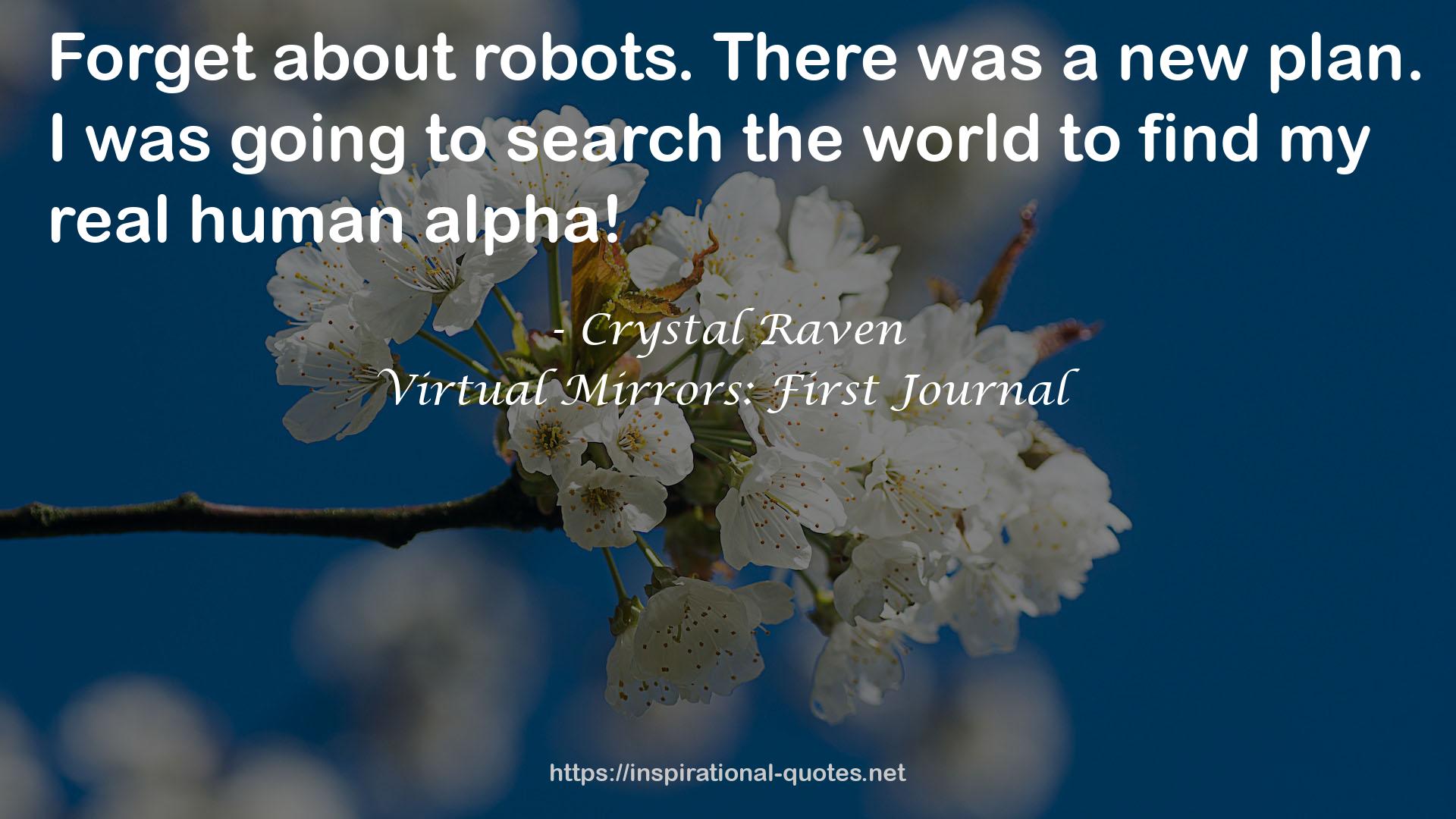 Virtual Mirrors: First Journal QUOTES