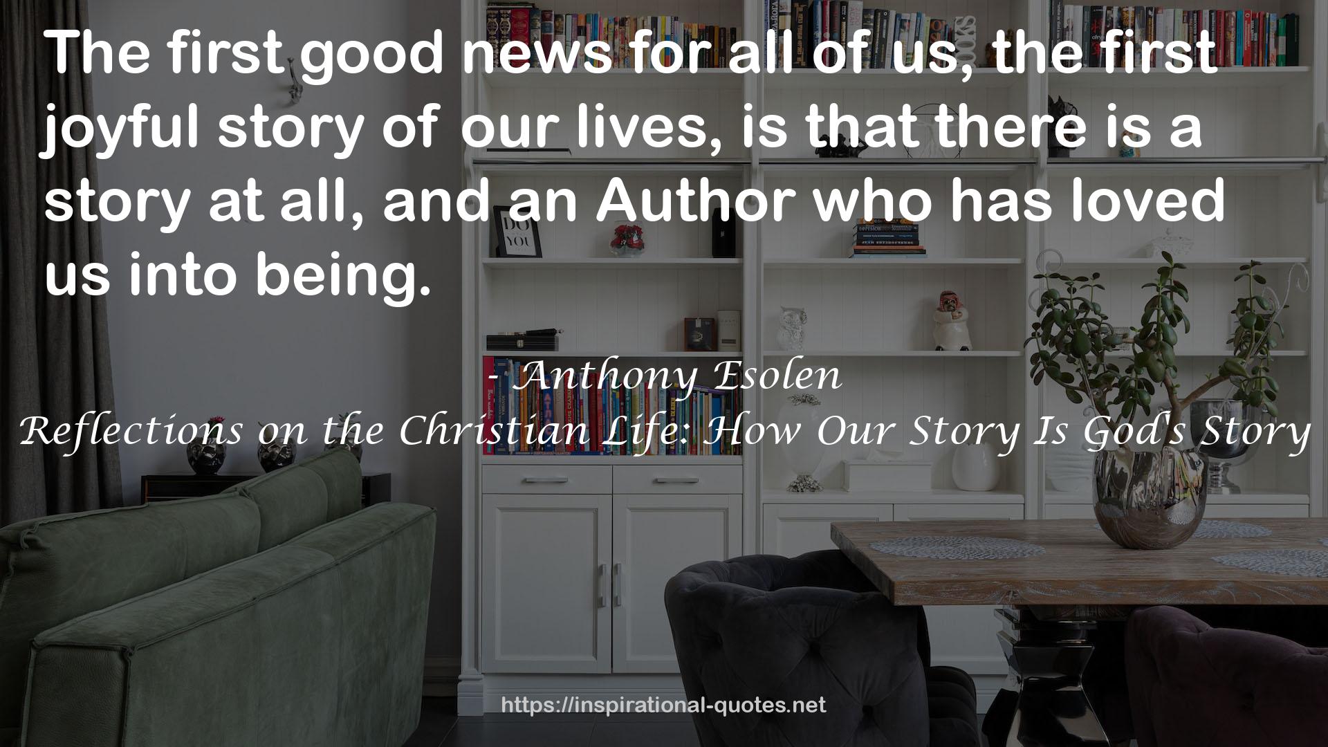 Reflections on the Christian Life: How Our Story Is God's Story QUOTES