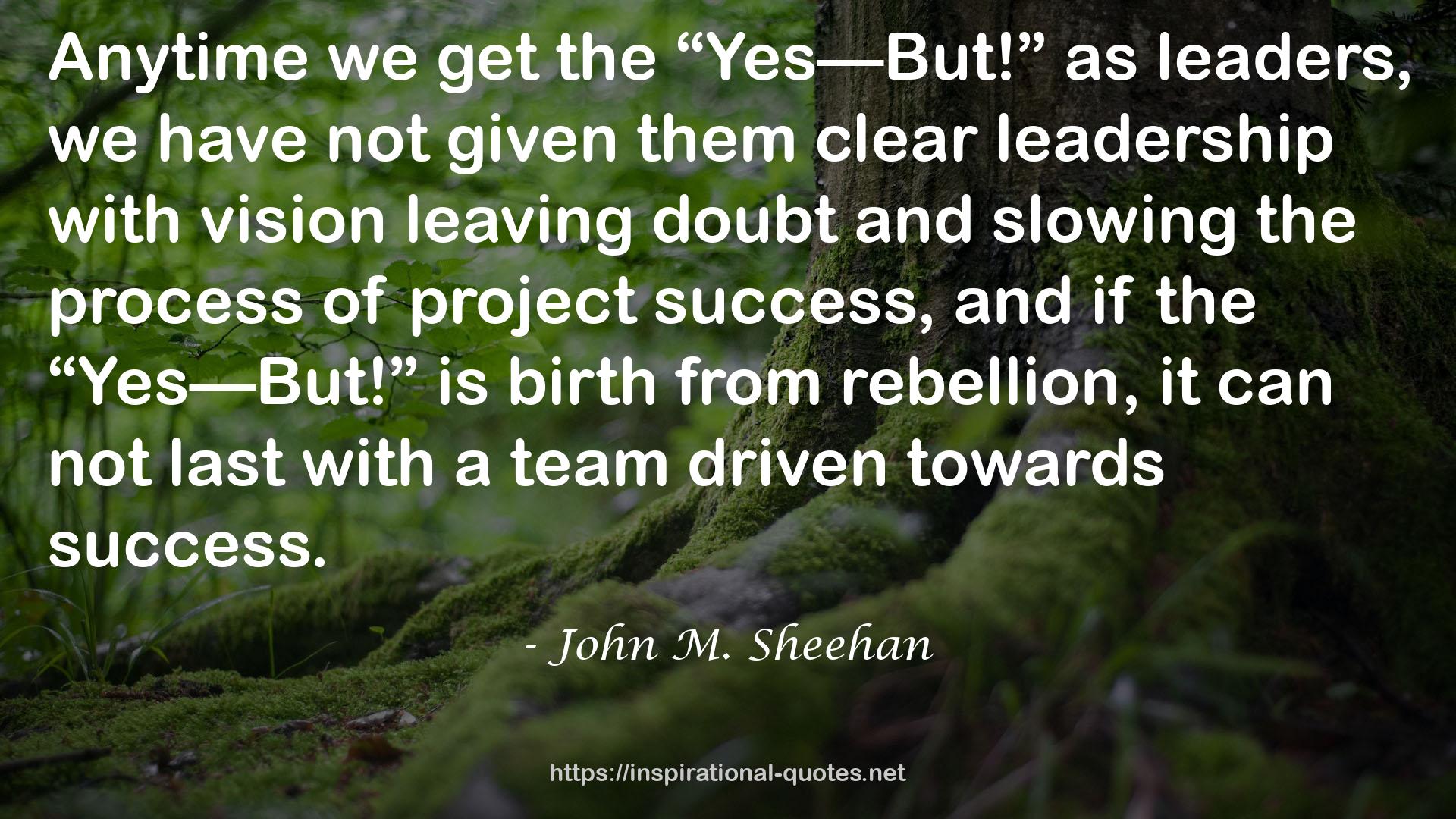 John M. Sheehan QUOTES