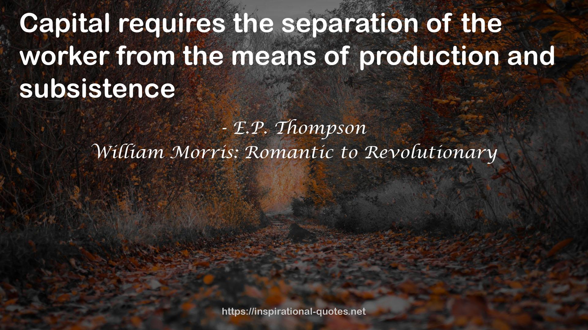 William Morris: Romantic to Revolutionary QUOTES