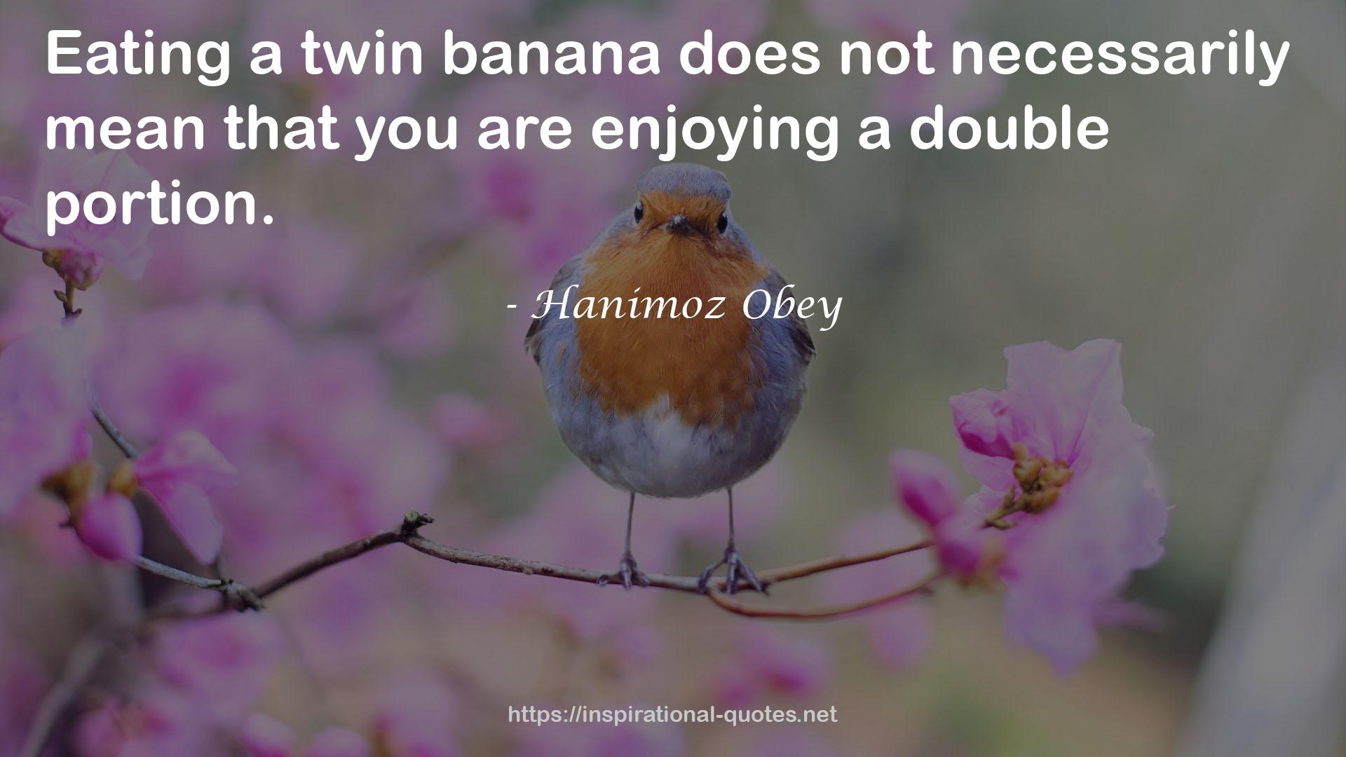 a twin banana  QUOTES