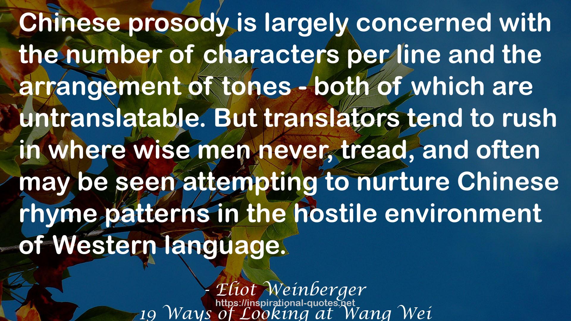 19 Ways of Looking at Wang Wei QUOTES